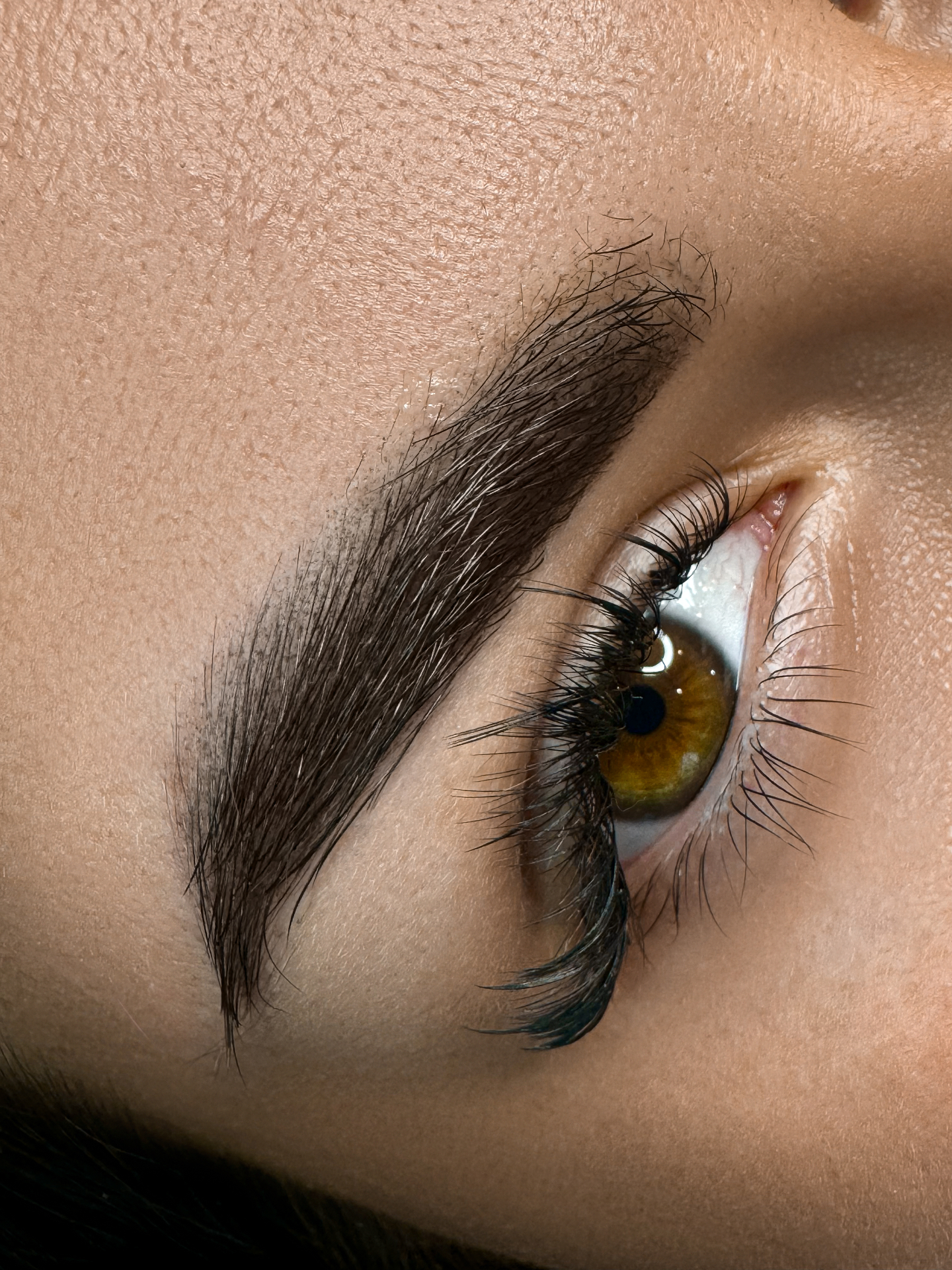 Brows